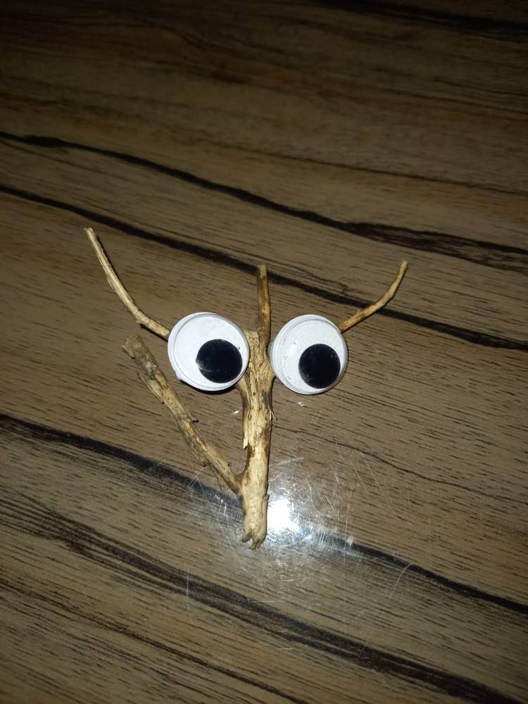 Mental Health Monday: Shawn Mendes – In My&nbsp;Blood