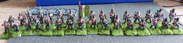Napoleonic – British 24th Regiment of&nbsp;Foot
